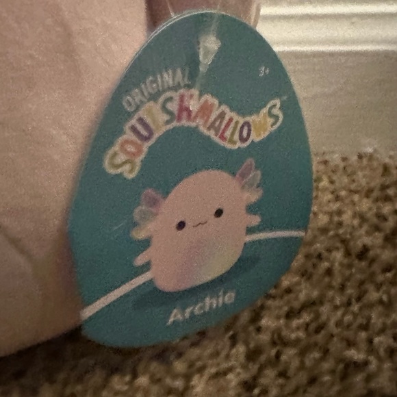 Squishmallow NWT never used. Smoke free house. Clean - Picture 4 of 4